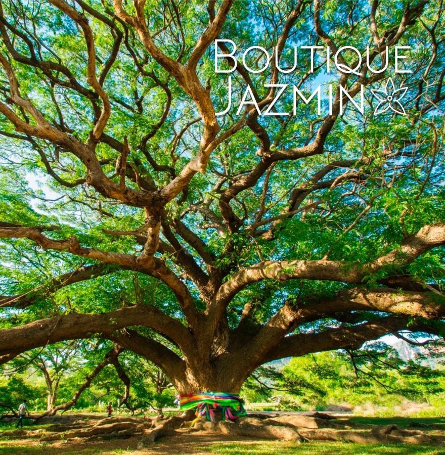 Boutique Jazmin Διαμέρισμα Αλικάντε Εξωτερικό φωτογραφία